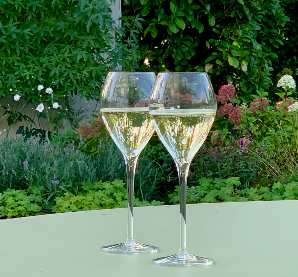 Verres à champagne Premium, 23.5 cl – Stahel champagnes